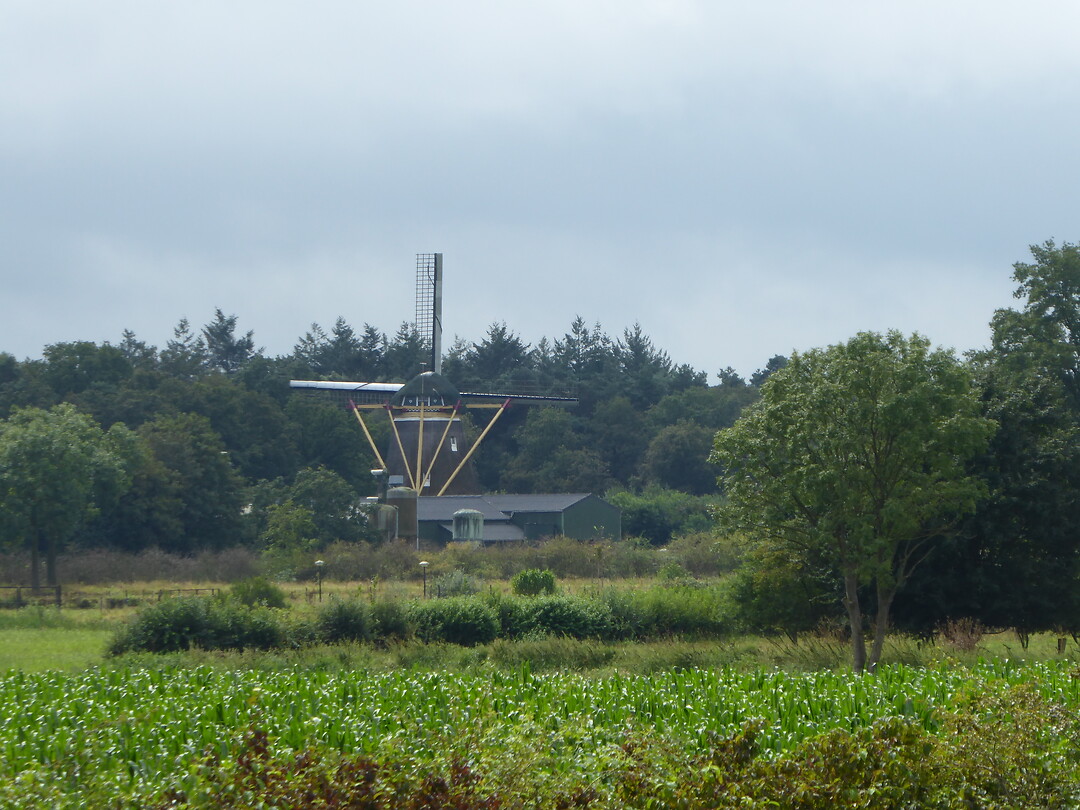 Gasselmolen