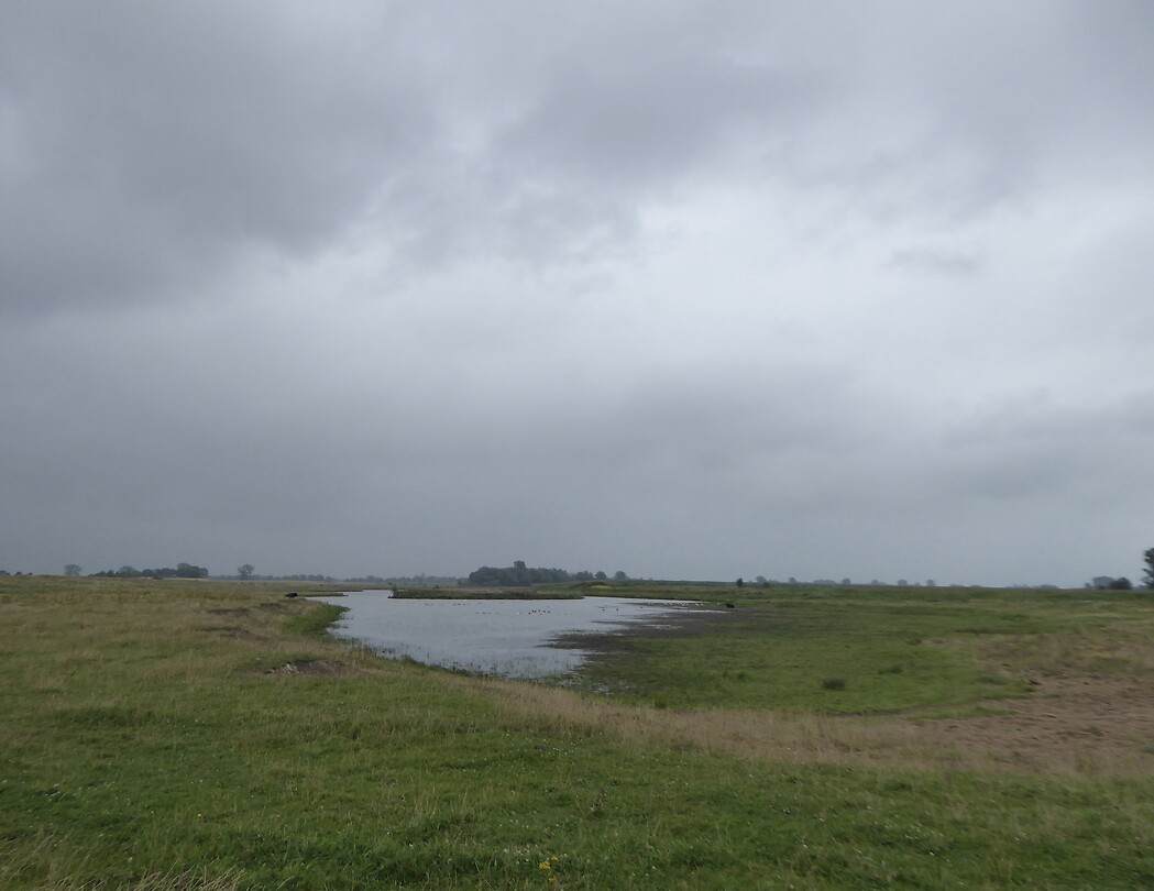 Landschap