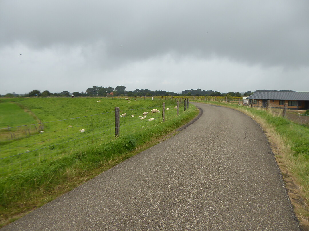 Fietspad