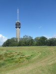 Zendmast