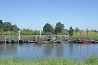 Zalmschouwen,historische vissersboten