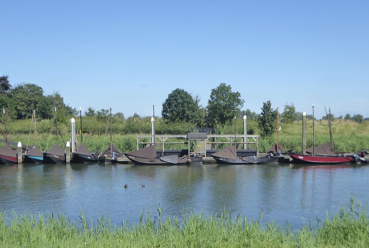 Zalmschouwen,historische vissersboten