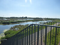 Uitzichtpunt Biesbosch
