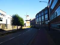 De eeuwenoude en enige molen van Dordrecht