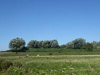 Prachtige natuur onderweg