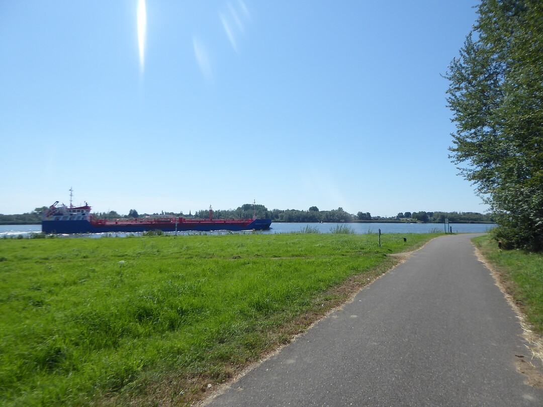 Zon staat hoog