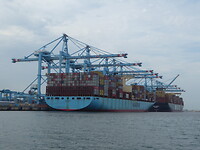 Containerschepen die geladen of gelost worden