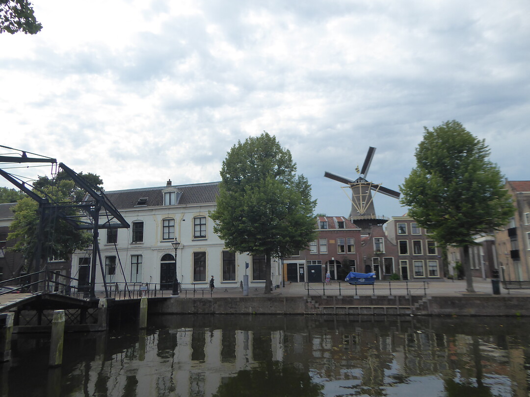 Een van de Schiedamse molens