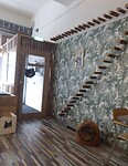 Katinterieur
