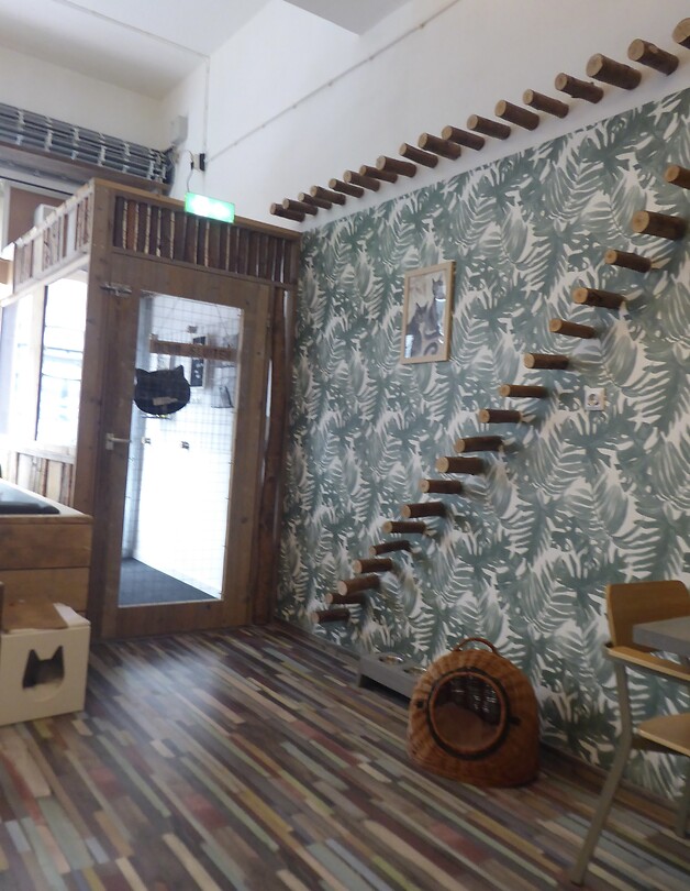 Katinterieur
