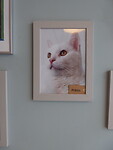 Portret