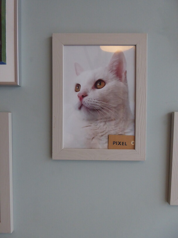 Portret