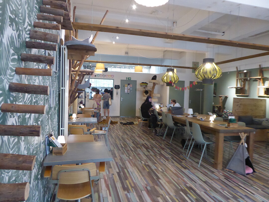 Interieur