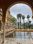 IMG_1984