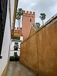 IMG_1914