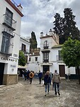 IMG_1908