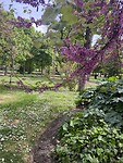 IMG_2185
