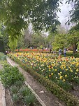 IMG_2197