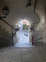 IMG_2249