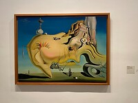 IMG_2260