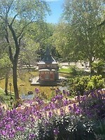 IMG_2278