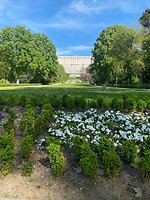 IMG_2391