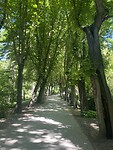 IMG_2561