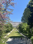 IMG_2560
