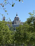 IMG_2554
