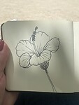 IMG_2790