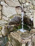 IMG_2767