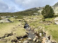 IMG_2751
