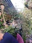 IMG_3048