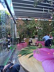 IMG_3047