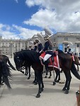 IMG_2945