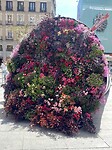 IMG_3207