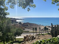 IMG_3245