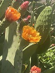 IMG_3252