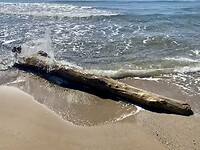 IMG_3264