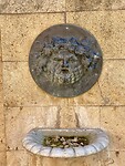 IMG_3279