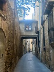 IMG_3339