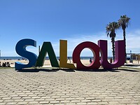 IMG_3349