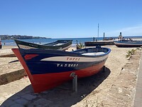 IMG_3352