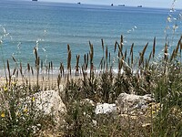 IMG_3386