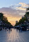 IMG_3515