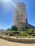 IMG_3474
