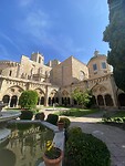 IMG_3778