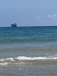 IMG_3741