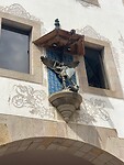 IMG_3954