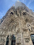 IMG_3980